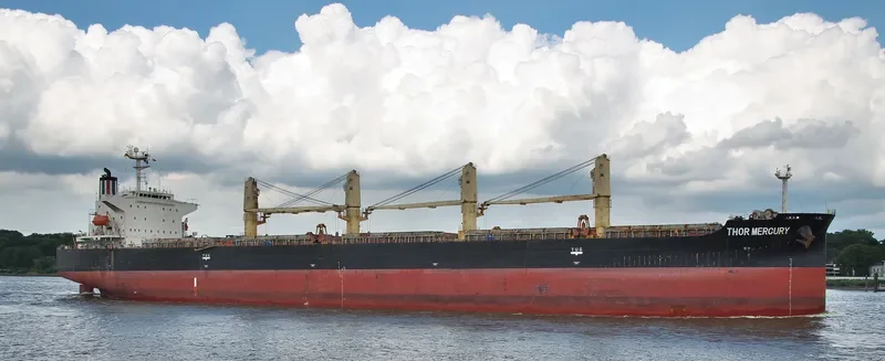 THOR MERCURY Bulk Carrier IMO 9300221 photo 10
