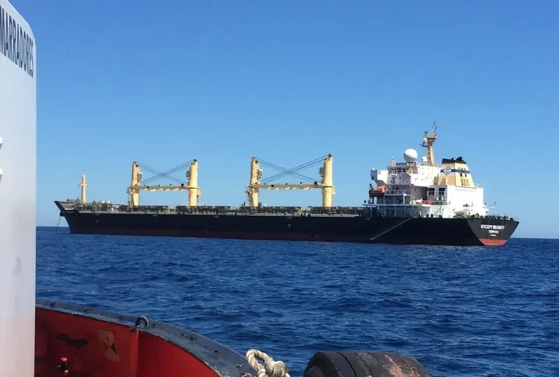DESERT MELODY Bulk Carrier IMO 9300283