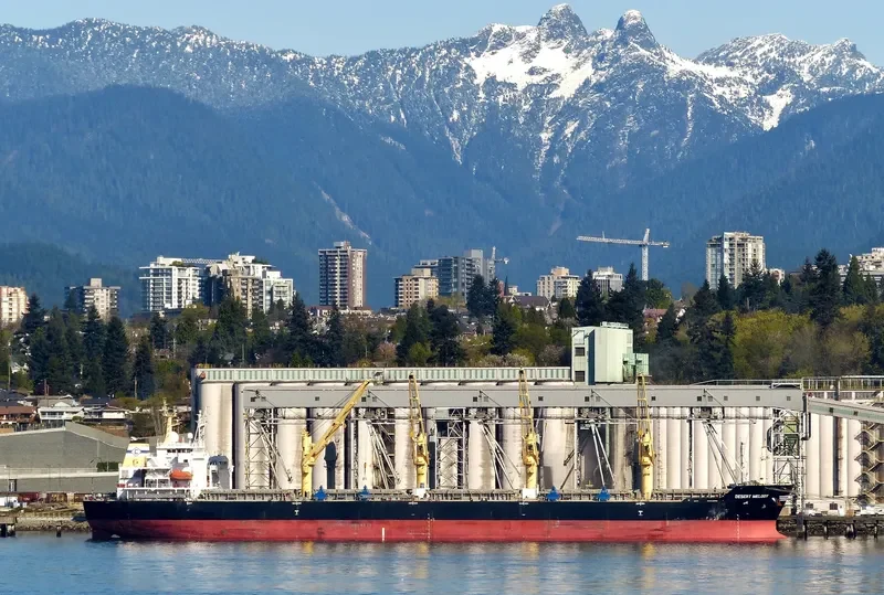 DESERT MELODY Bulk Carrier IMO 9300283 photo 3