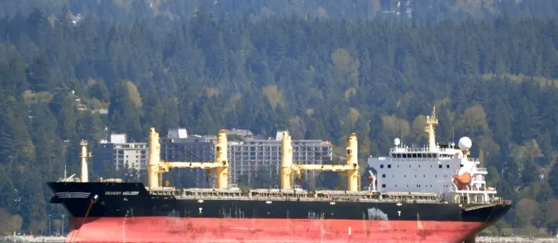 DESERT MELODY Bulk Carrier IMO 9300283 photo 4