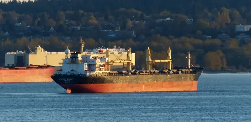DESERT MELODY Bulk Carrier IMO 9300283 photo 5