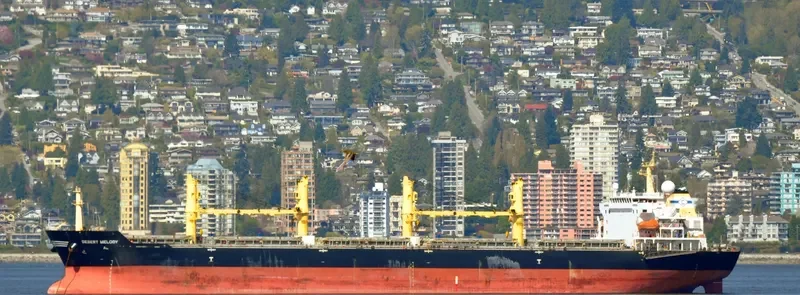 DESERT MELODY Bulk Carrier IMO 9300283 photo 6