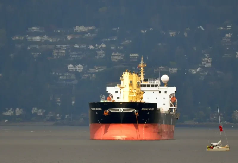 DESERT MELODY Bulk Carrier IMO 9300283 photo 7