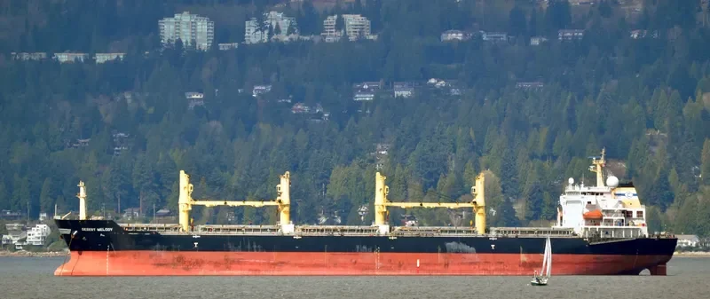 DESERT MELODY Bulk Carrier IMO 9300283 photo 8
