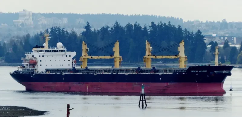 DESERT MELODY Bulk Carrier IMO 9300283 photo 9