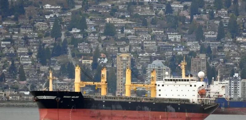 DESERT MELODY Bulk Carrier IMO 9300283 photo 10
