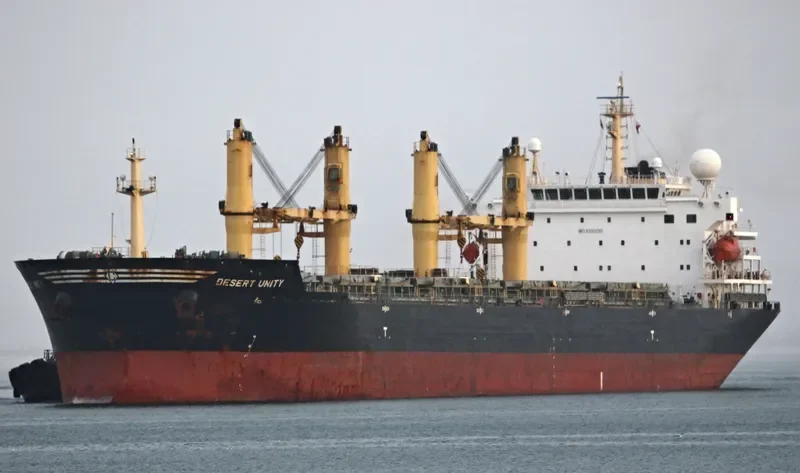 DESERT UNITY Bulk Carrier IMO 9300295 photo 3