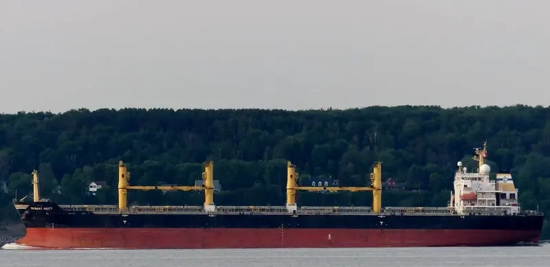DESERT UNITY Bulk Carrier IMO 9300295 photo 4