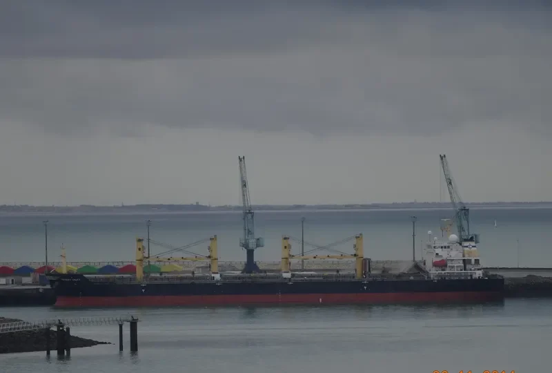 DESERT UNITY Bulk Carrier IMO 9300295 photo 5