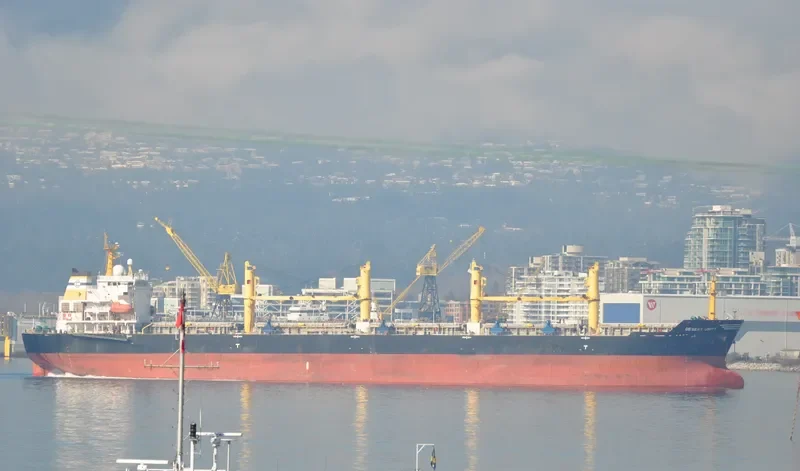 DESERT UNITY Bulk Carrier IMO 9300295 photo 8