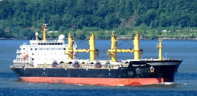 DESERT UNITY Bulk Carrier IMO 9300295 photo 9