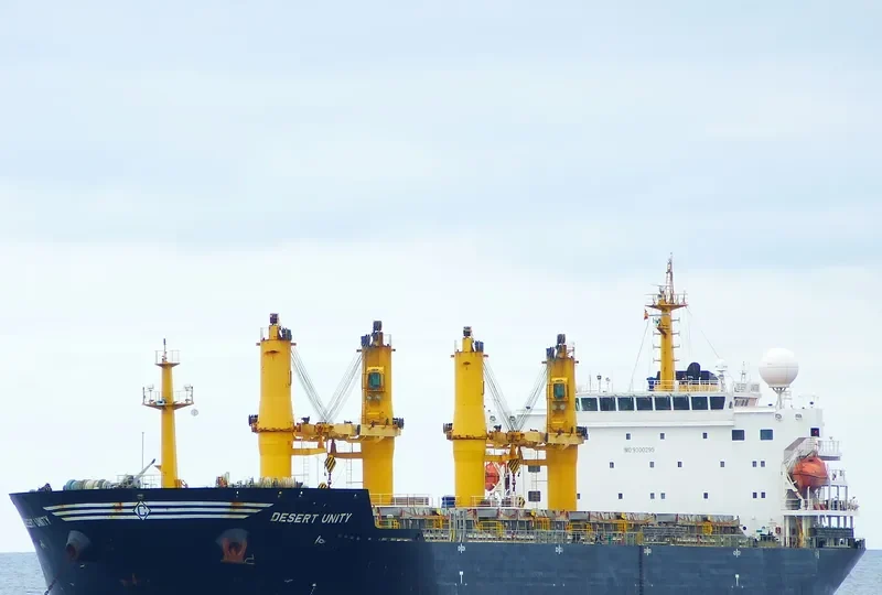 DESERT UNITY Bulk Carrier IMO 9300295 photo 10