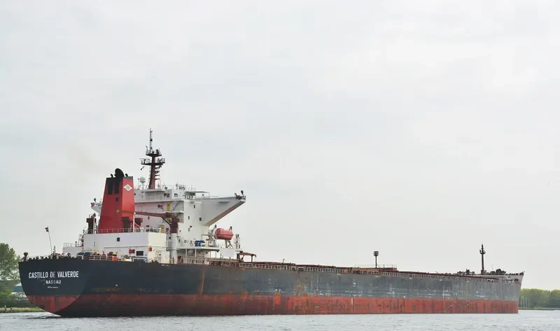CASTILLO DE VALVERDE Bulk Carrier IMO 9300374 photo 10