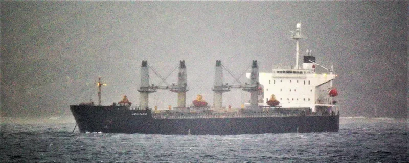 AQUITANIA Bulk Carrier IMO 9300491