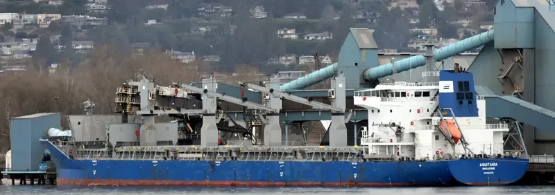 AQUITANIA Bulk Carrier IMO 9300491 photo 10
