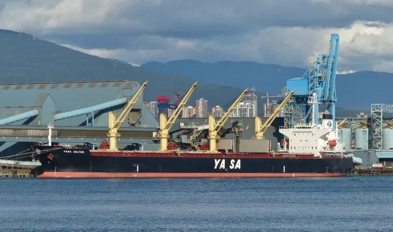 AKIJ MOON Bulk Carrier IMO 9300506 photo 2