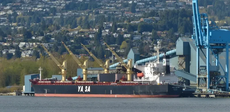 AKIJ MOON Bulk Carrier IMO 9300506 photo 3