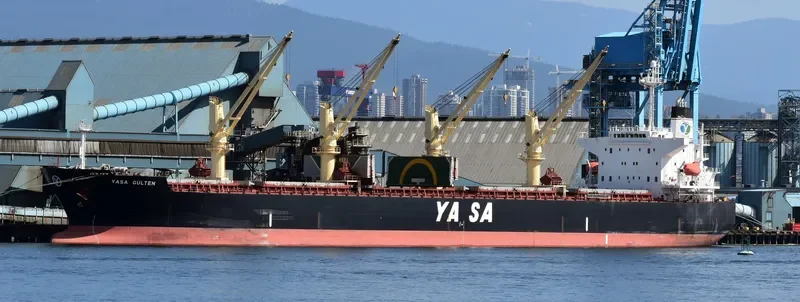 AKIJ MOON Bulk Carrier IMO 9300506 photo 4