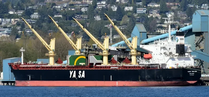 AKIJ MOON Bulk Carrier IMO 9300506 photo 5