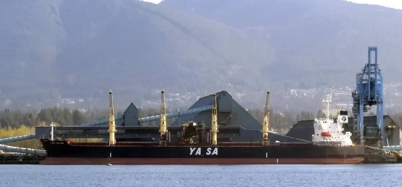 AKIJ MOON Bulk Carrier IMO 9300506 photo 6