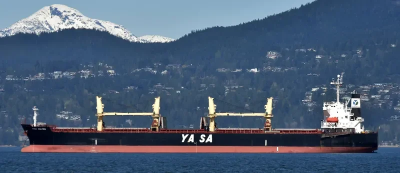 AKIJ MOON Bulk Carrier IMO 9300506 photo 7