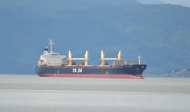 AKIJ MOON Bulk Carrier IMO 9300506 photo 9