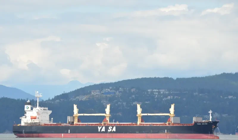AKIJ MOON Bulk Carrier IMO 9300506 photo 10