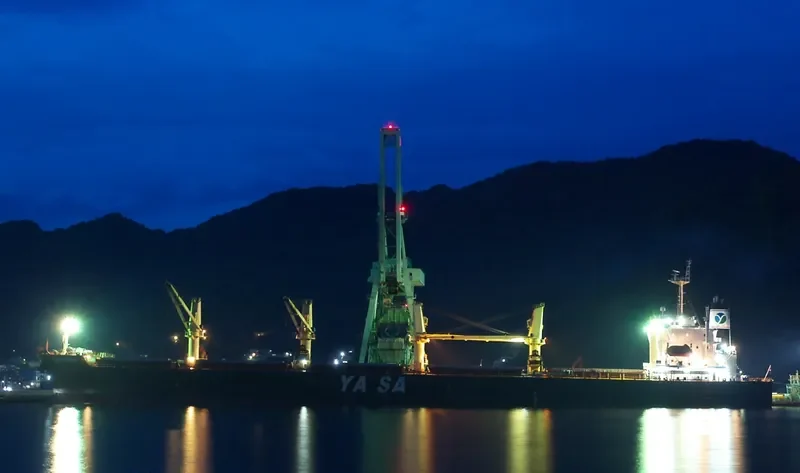 YASA PEMBE Bulk Carrier IMO 9300520 photo 2