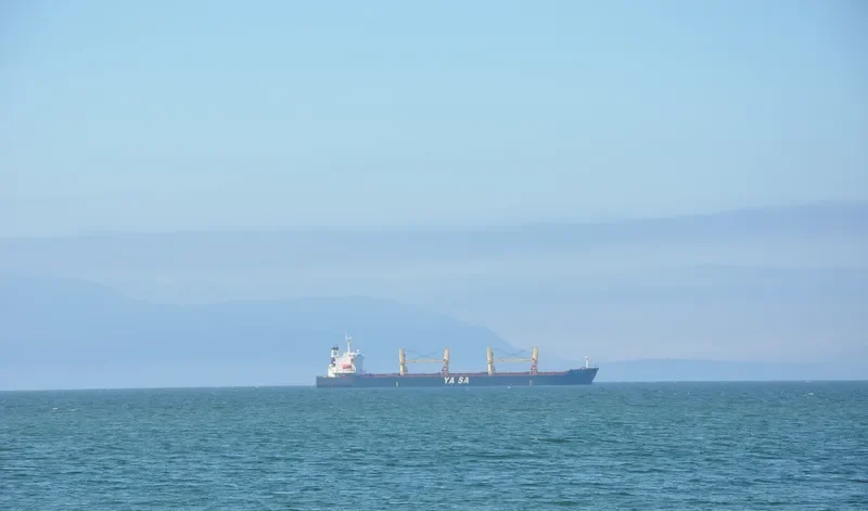 YASA PEMBE Bulk Carrier IMO 9300520 photo 3