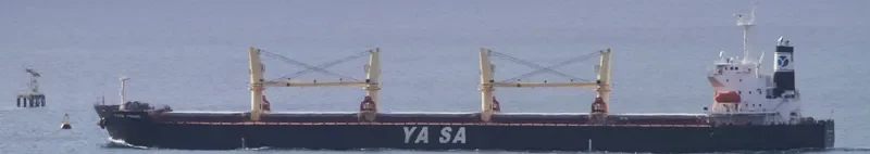YASA PEMBE Bulk Carrier IMO 9300520 photo 7