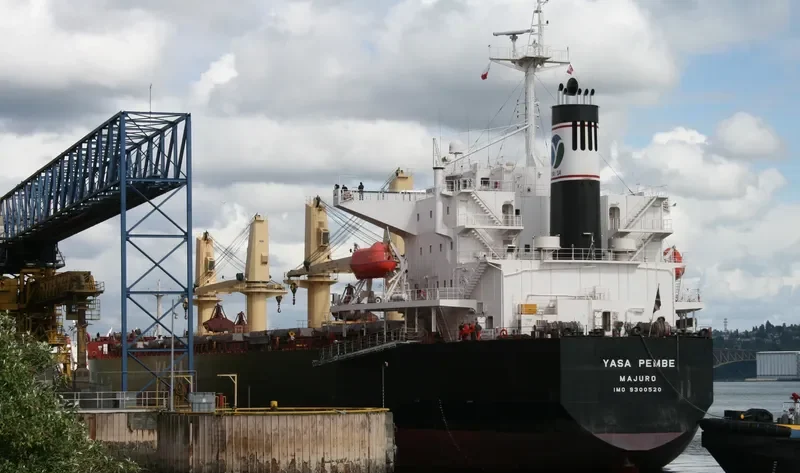 YASA PEMBE Bulk Carrier IMO 9300520 photo 10