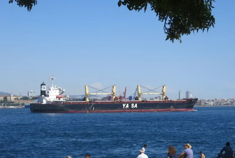 YASA AYSEN Bulk Carrier IMO 9300532 photo 2