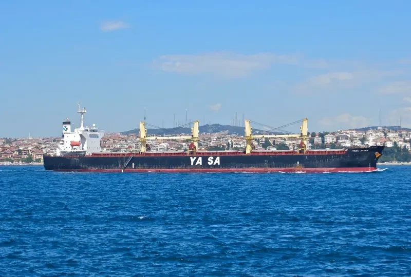 YASA AYSEN Bulk Carrier IMO 9300532 photo 3