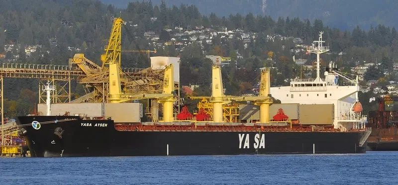 YASA AYSEN Bulk Carrier IMO 9300532 photo 5