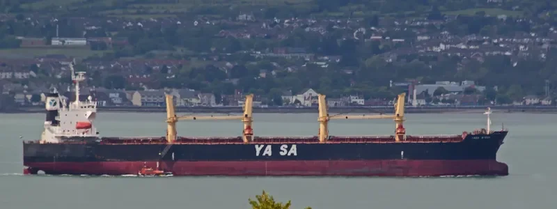 YASA AYSEN Bulk Carrier IMO 9300532 photo 6