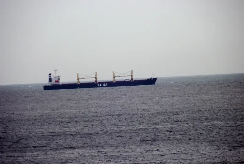 YASA AYSEN Bulk Carrier IMO 9300532 photo 8