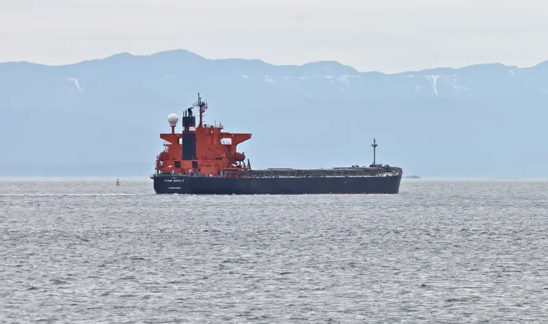MYTHOS Bulk Carrier IMO 9300556 photo 7