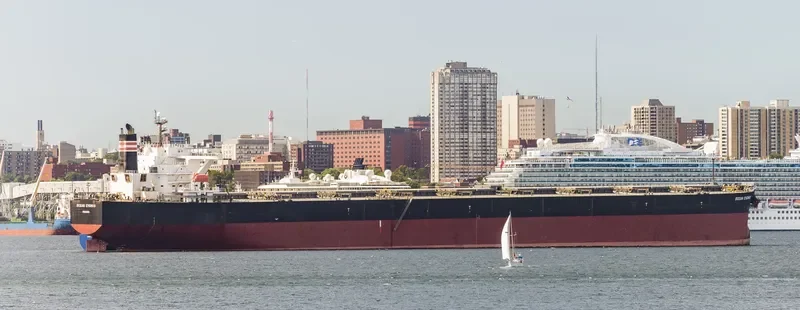 CAPE HAWK Bulk Carrier IMO 9300582