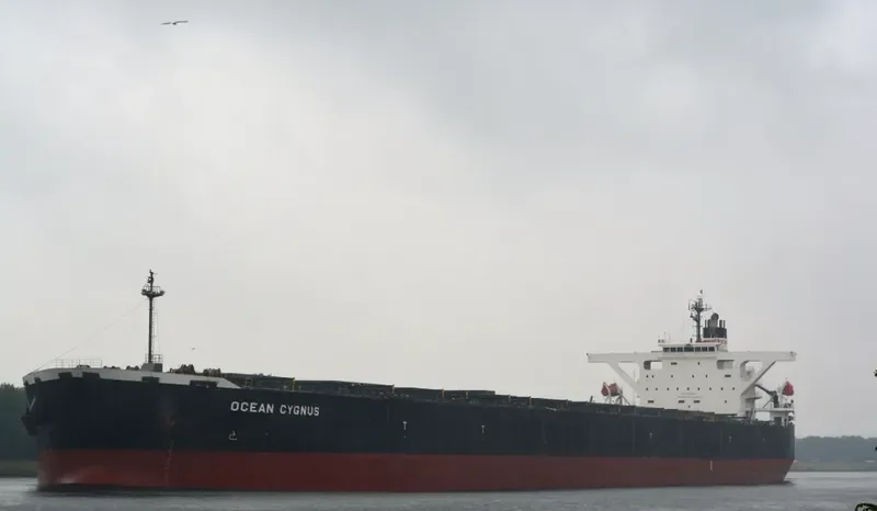 CAPE HAWK Bulk Carrier IMO 9300582 photo 2