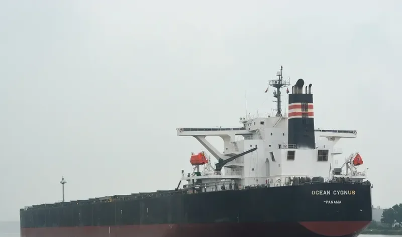 CAPE HAWK Bulk Carrier IMO 9300582 photo 3