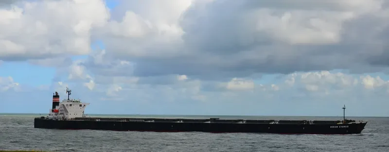 CAPE HAWK Bulk Carrier IMO 9300582 photo 4