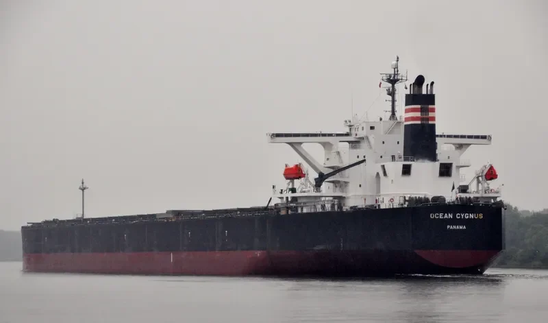 CAPE HAWK Bulk Carrier IMO 9300582 photo 5