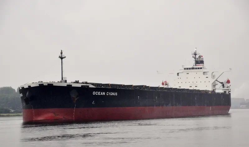 CAPE HAWK Bulk Carrier IMO 9300582 photo 6