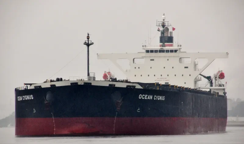 CAPE HAWK Bulk Carrier IMO 9300582 photo 7