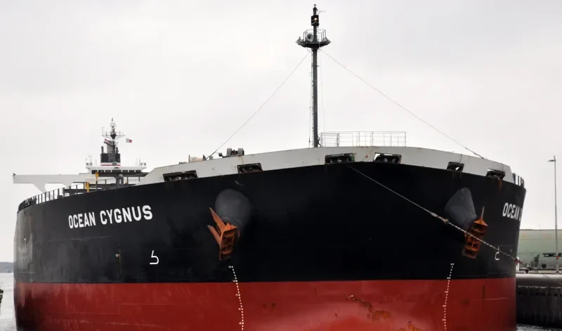 CAPE HAWK Bulk Carrier IMO 9300582 photo 8