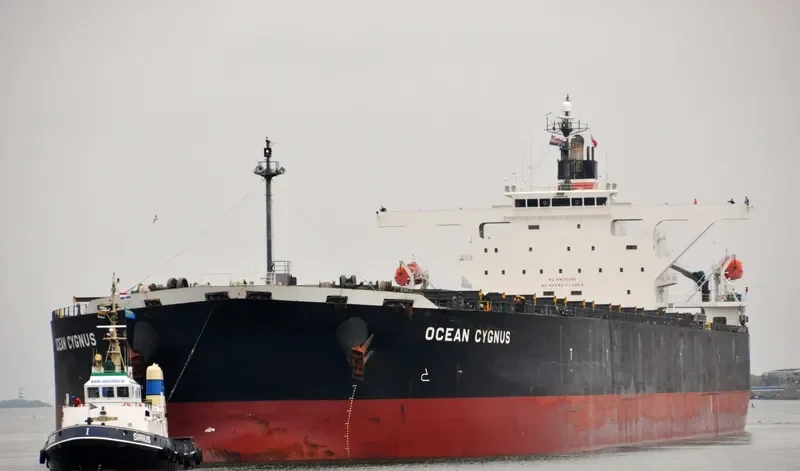 CAPE HAWK Bulk Carrier IMO 9300582 photo 9