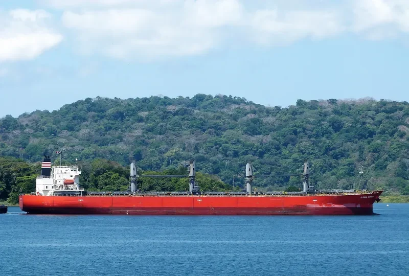 FUHAI Bulk Carrier IMO 9300611 photo 4