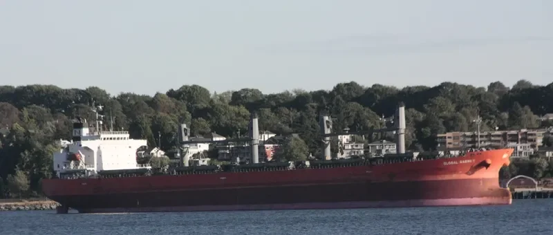FUHAI Bulk Carrier IMO 9300611 photo 6