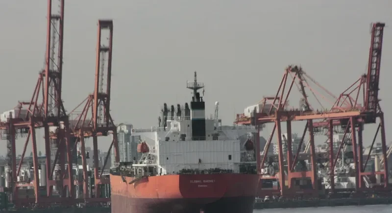 FUHAI Bulk Carrier IMO 9300611 photo 7