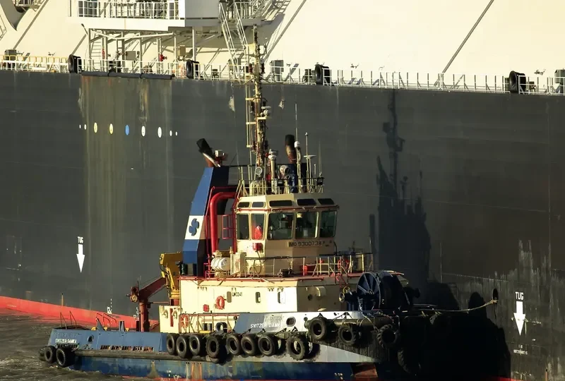 SVITZER DAMKA General Cargo IMO 9300738 photo 4